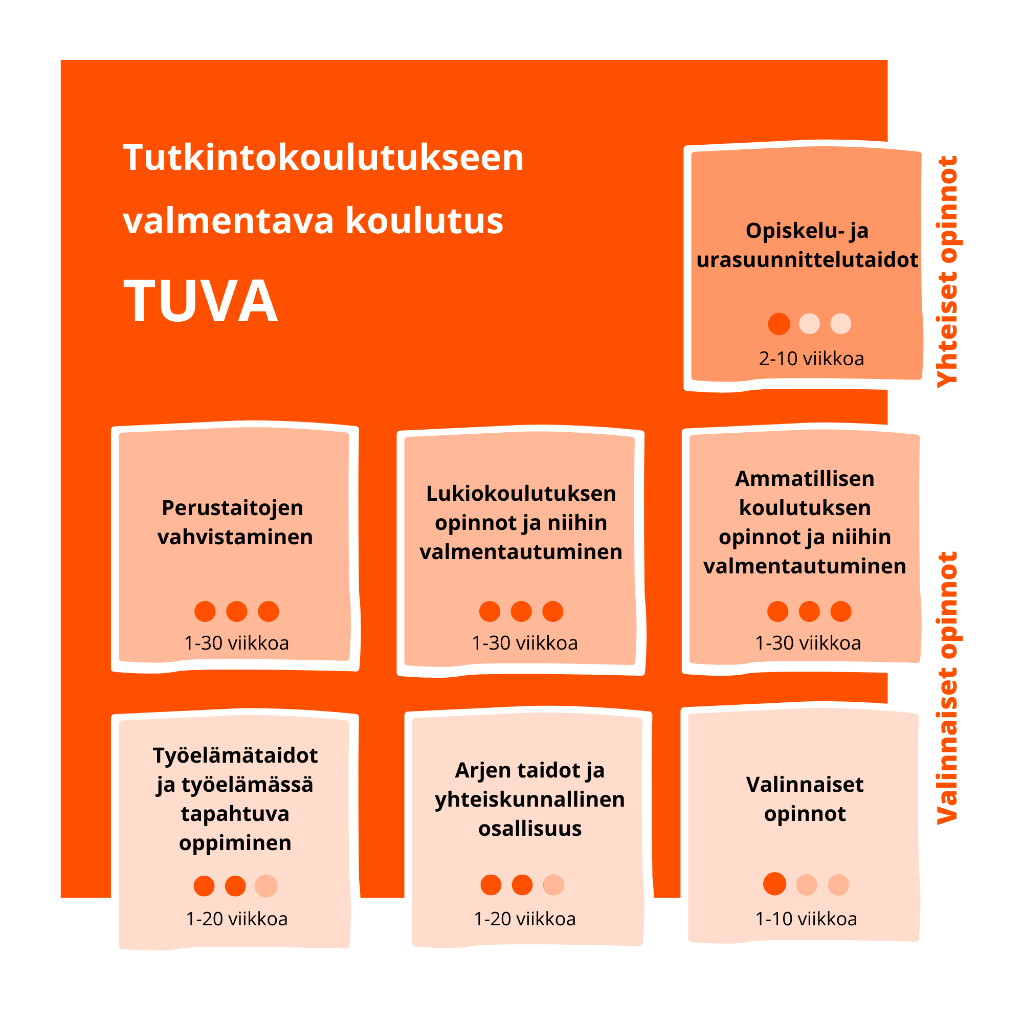 Tutkintokoulutuksen muodostuminen